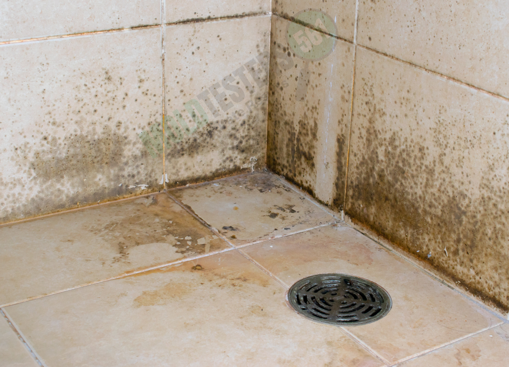 mold in bathroom
