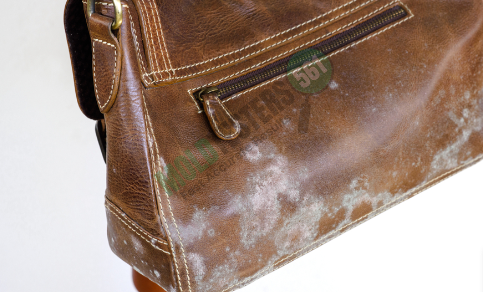 mold on leather products