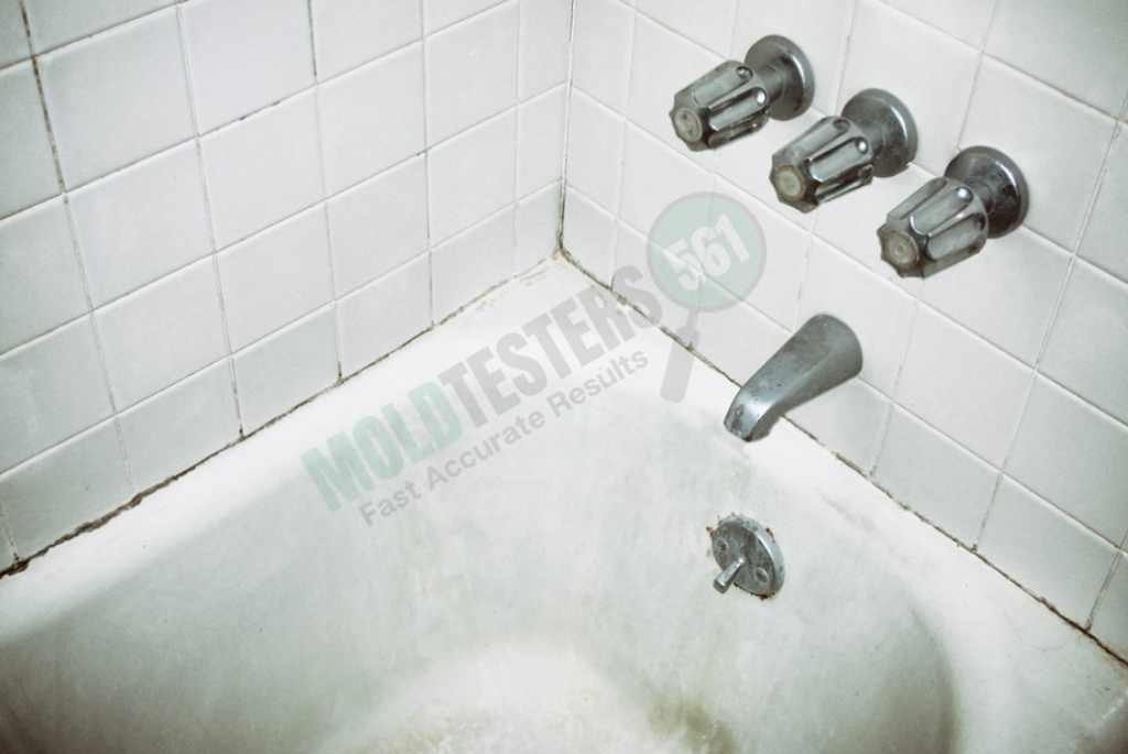 mold on shower caulking