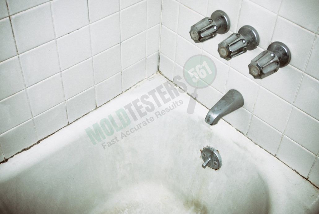 mold on shower caulking