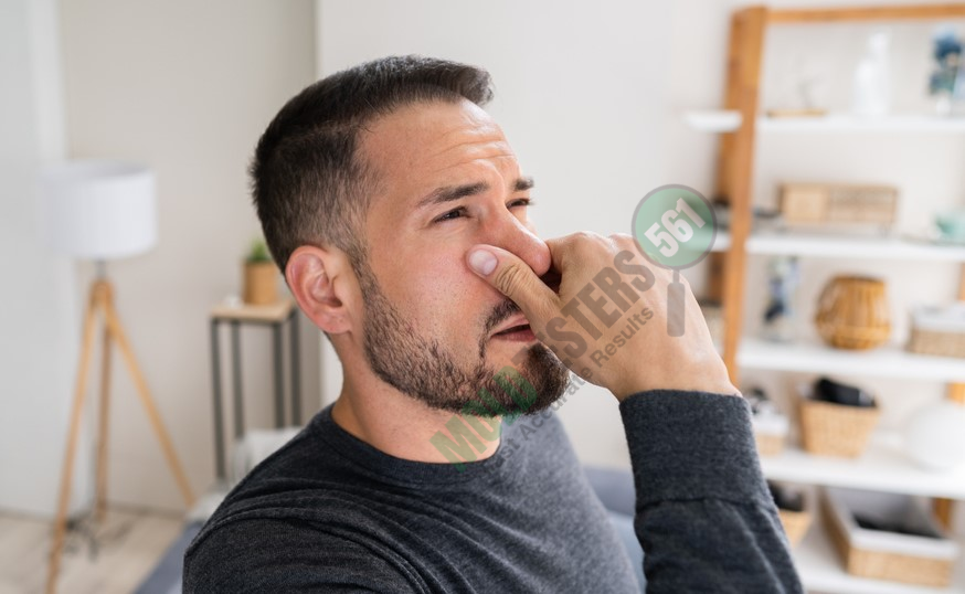 musty smell at home