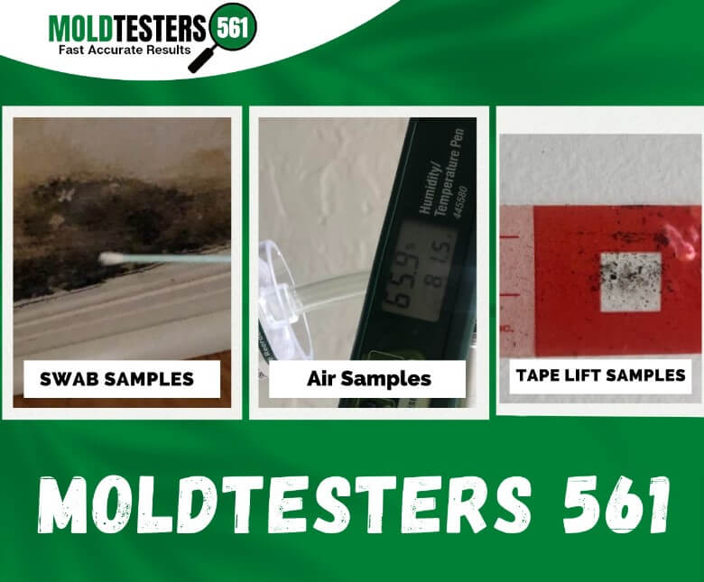 mold testing samples Fort Lauderdale